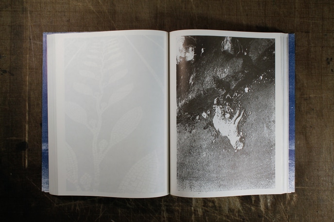 Christopher Wool - Absent without Leave - standard edition