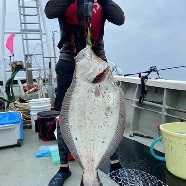 K.a.z.u. さんの釣り人プロフィール - アングラーズ | 釣果600万件の