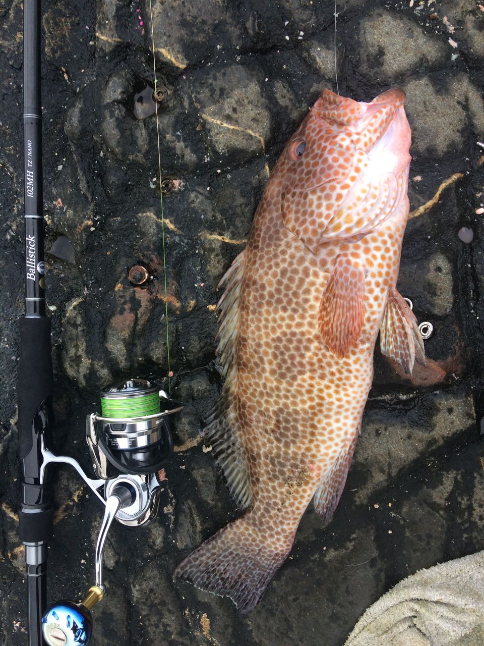 YAMAGA Blanks バリスティック TZ ナノ 102MHの最安値・インプレ・釣果