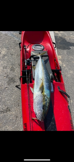 SHIMANO 19グラップラー タイプスローJ B68-3の最安値・インプレ・釣果