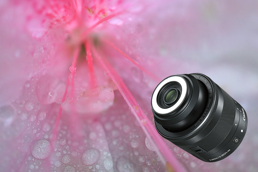 EF-M28mm f/3.5 Macro IS STM Photo Review