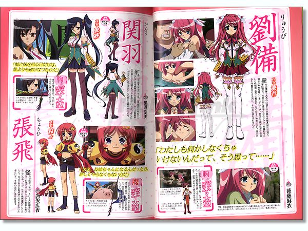 アニメ 真恋姫無双 ビジュアルガイドブック | HLJ.co.jp