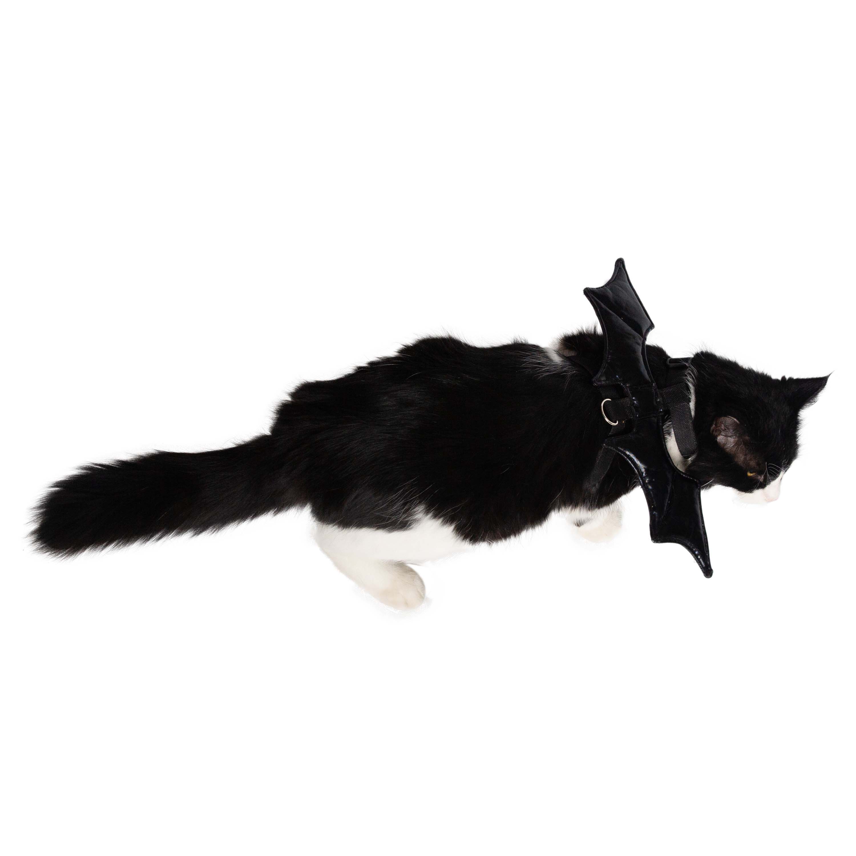 Cat Bat Wing Harness