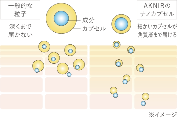 バランシングリポナノセラム｜AKNIR（アクニー） 公式オンラインサイト