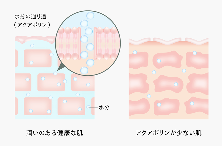 Aurelie. / オレリー 公式オンラインショップ