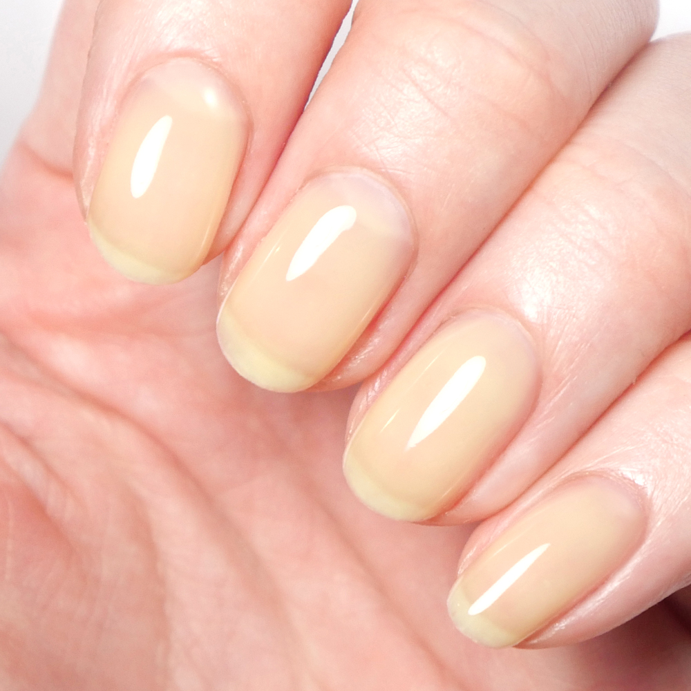 HOMEI ウィークリージェル WF6 Yellow Afternoon (イエロー