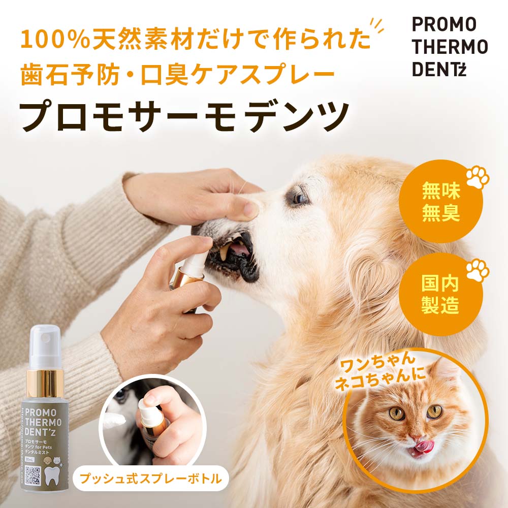 プロモサーモ デンツ for Pets｜ペットスタンス ドッグスタンス