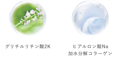 クリスタルホイップ｜SHIRORU(シロル)公式オンラインストア