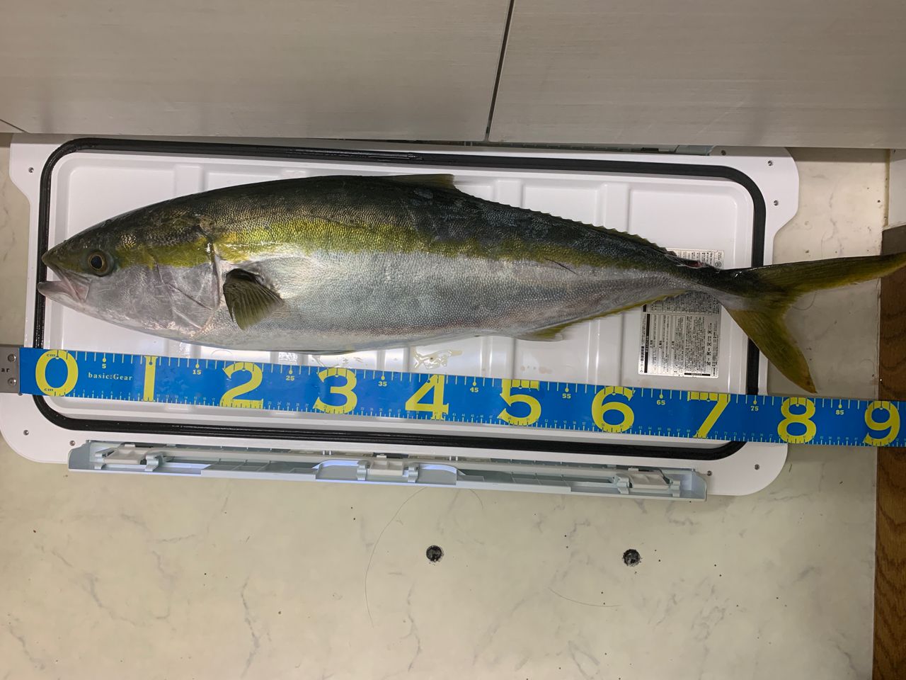 SHIMANO 18オシアジガー ∞ (インフィニティ) モーティブ B610-5の最