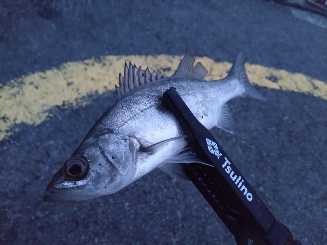 OLYMPIC 20コルト UX GCORUS-572UL-HSの最安値・インプレ・釣果 | 本音