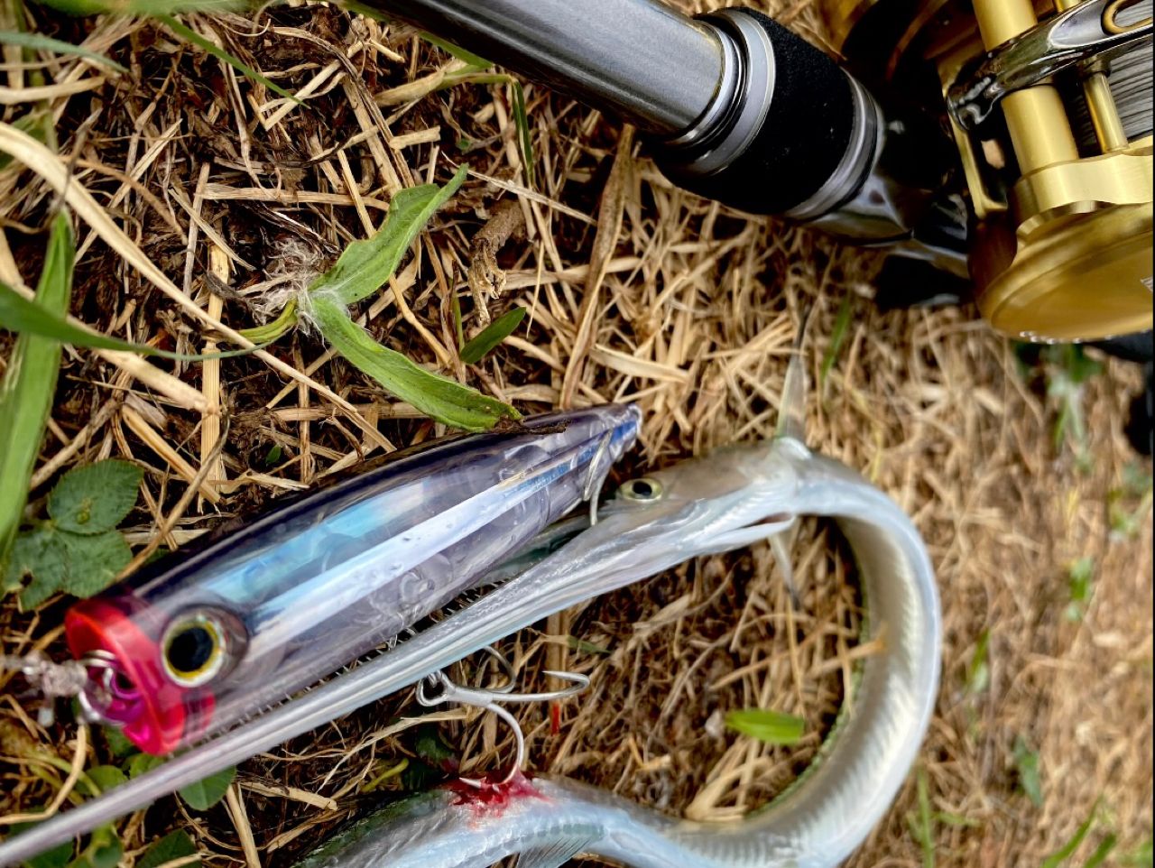 SHIMANO 22バンタム 168XH-SB/2の最安値・インプレ・釣果 | 本音の