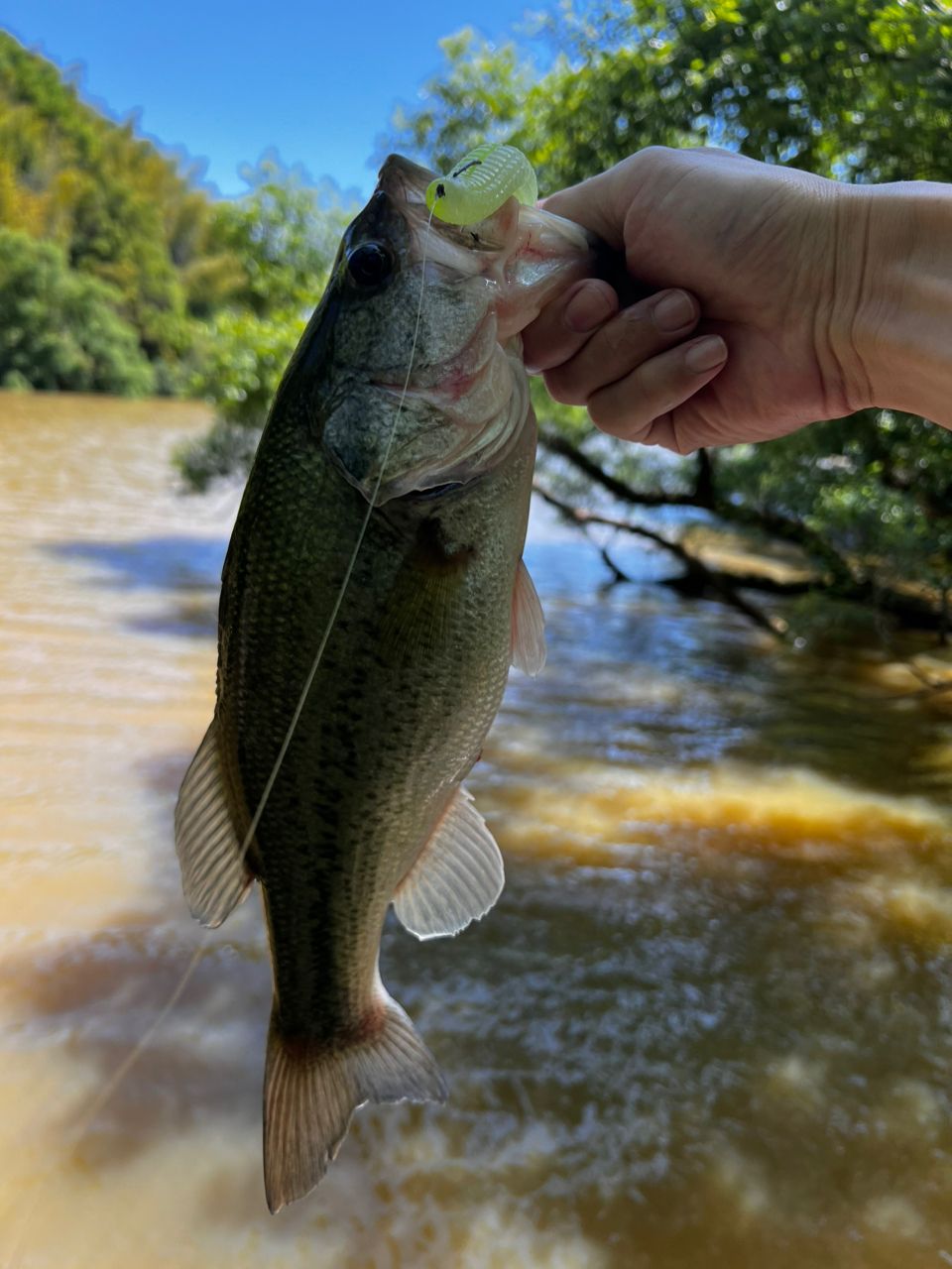 Megabass レヴァンテ JP F4-72LV 2Pの最安値・インプレ・釣果 | 本音の