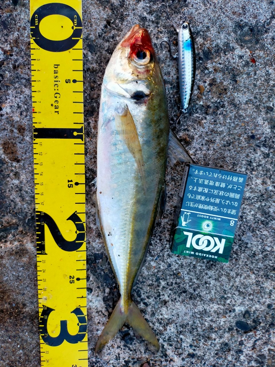 GCRAFT セブンセンスTR ミッドナイトジェティ MJS-782-TRの最安値