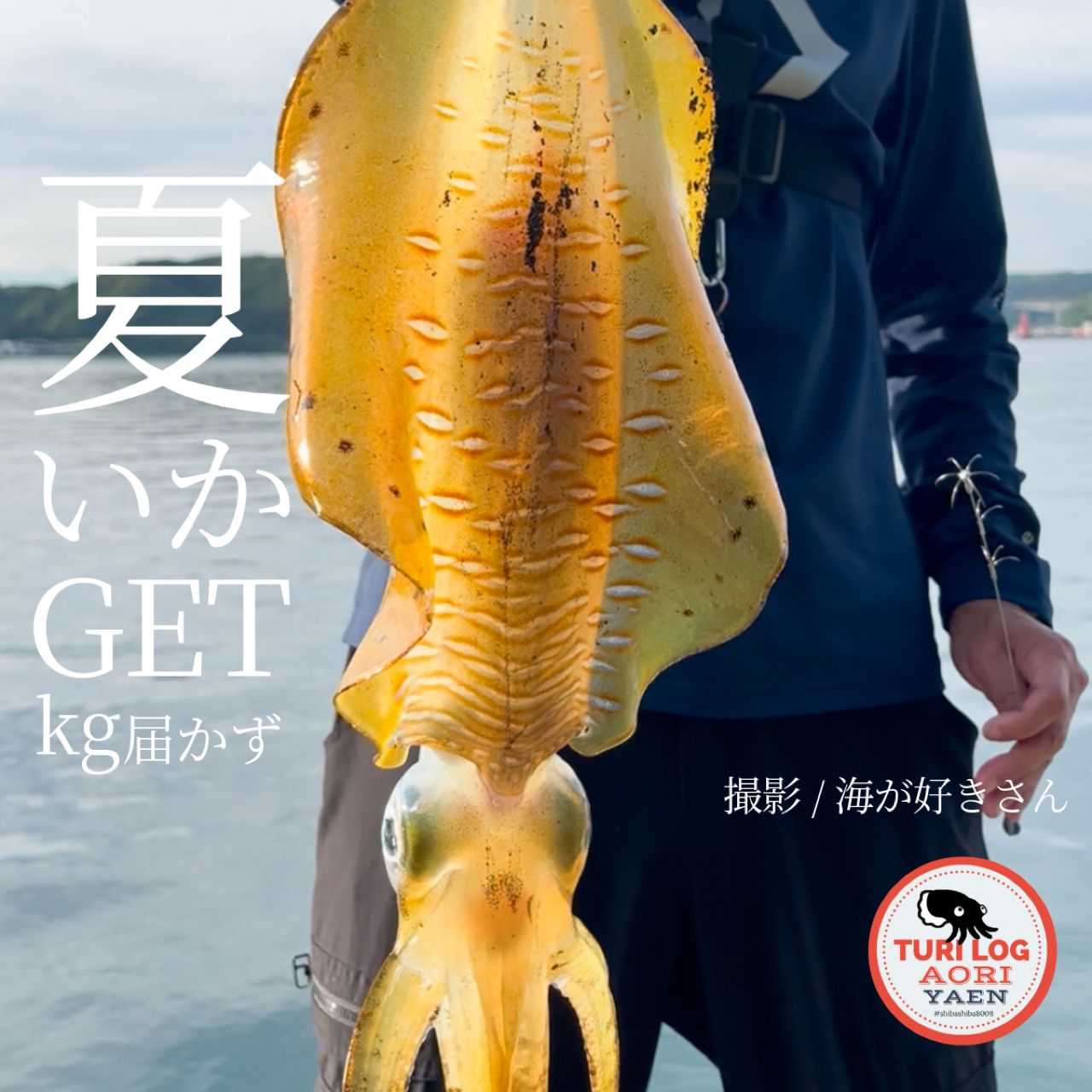 SHIMANO 23ボーダレス BB 460M-Tの最安値・インプレ・釣果 | 本音の