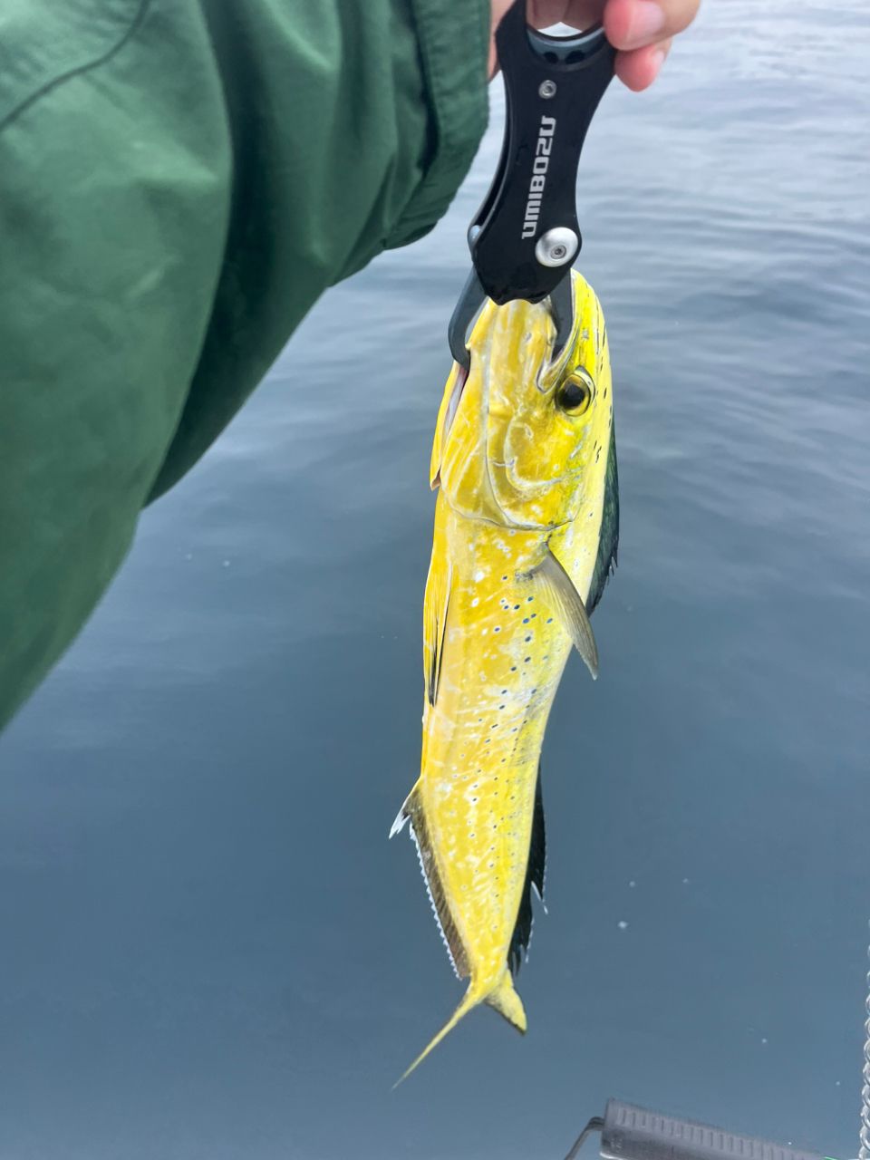 MajorCraft 「三代目」クロステージ ボートシーバス CRX-702MH/Sの最