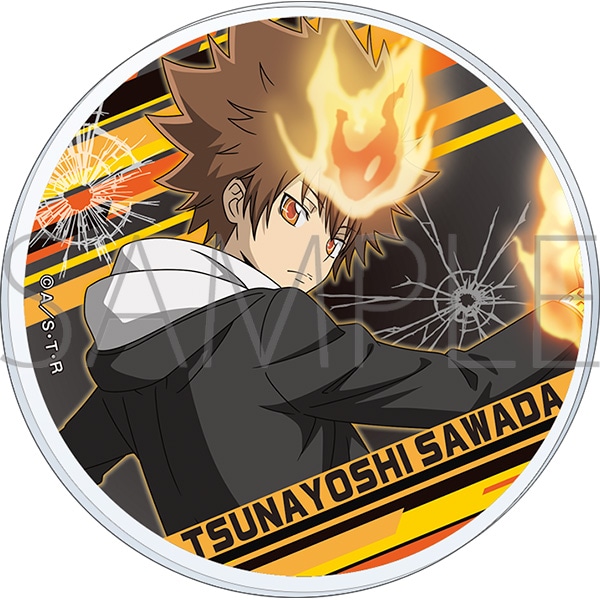 家庭教師ヒットマン REBORN！ アクリルコースター／沢田綱吉: キャラ