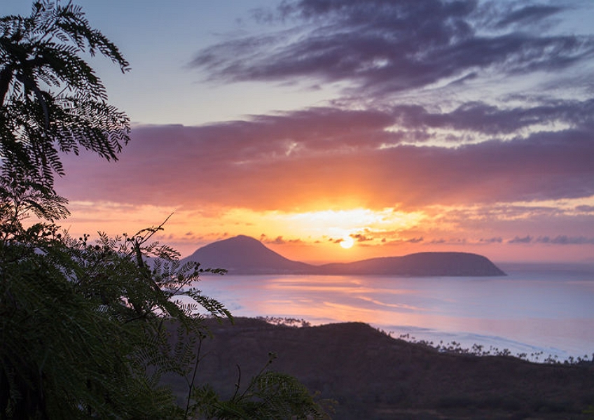 土曜限定]ダイヤモンドヘッド日の出ハイキング & KCCファーマーズ