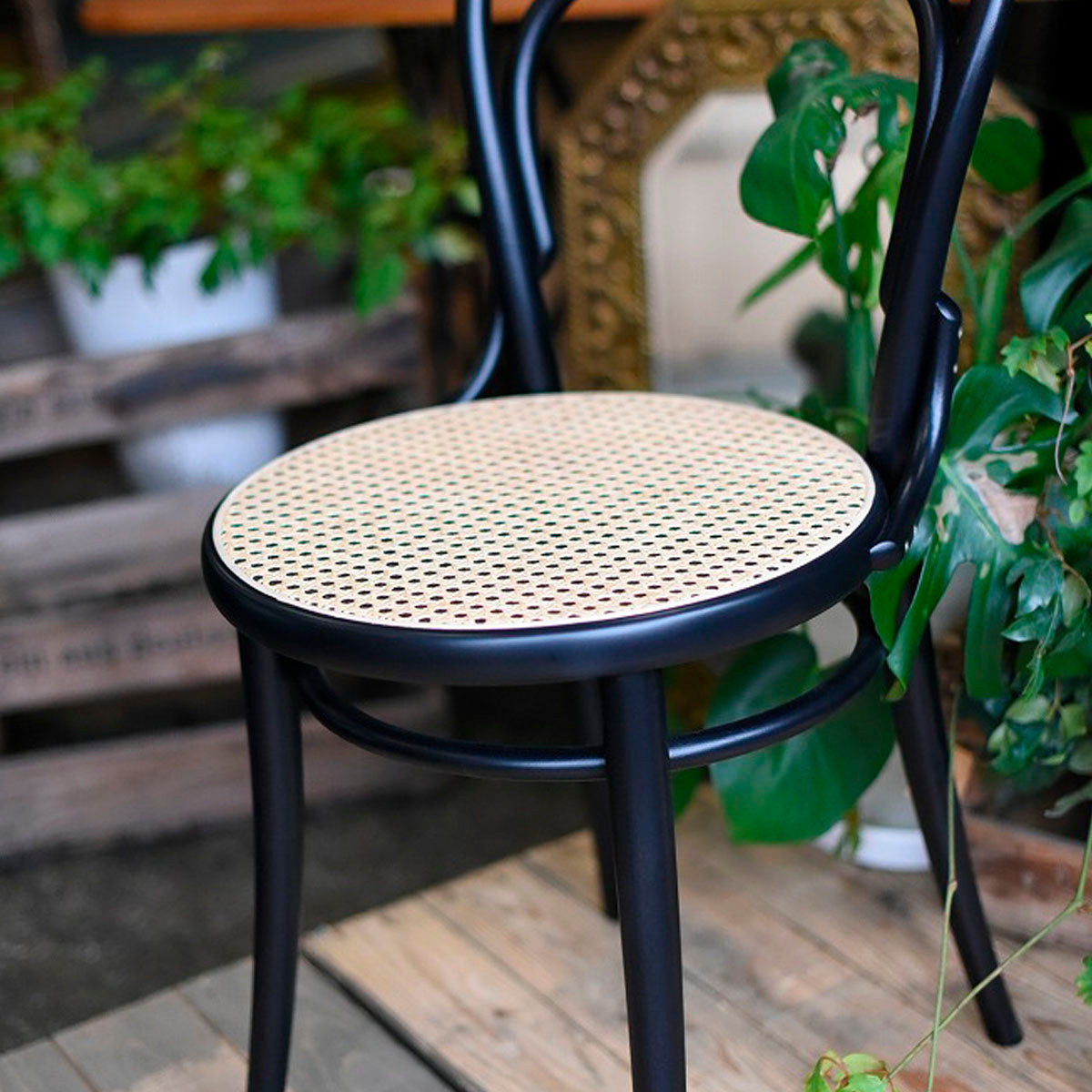 TON No.14 Chair Black 2脚セット ベントウッドチェア トン チェコ