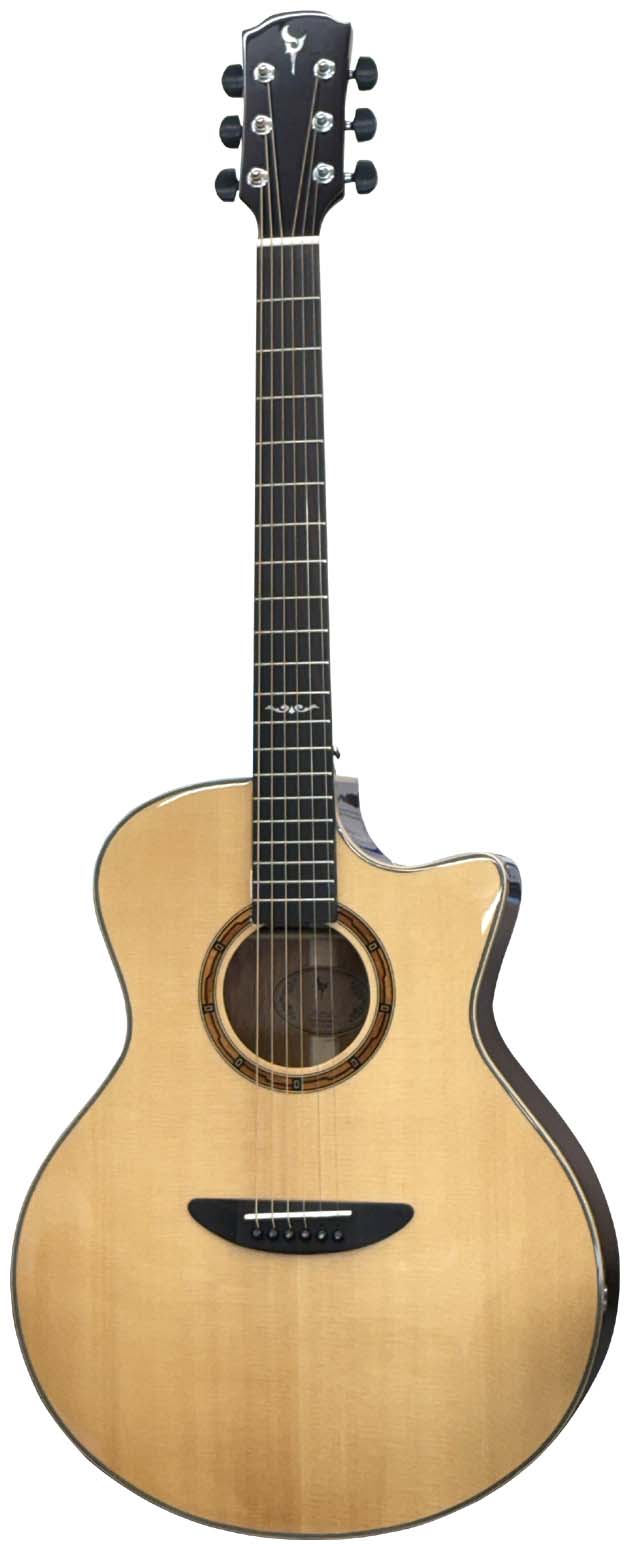 DCT Acoustic Guitar | dct2019