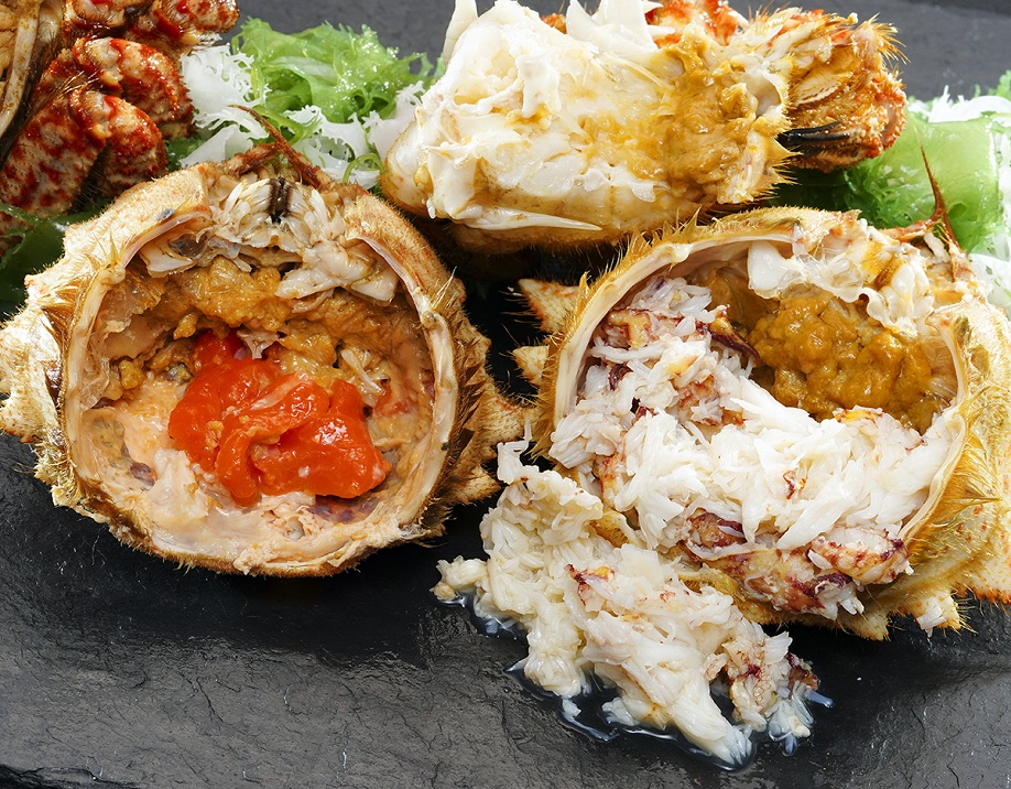 新春セール【グラキリス】塊根！レア！手のひら型、蟹型 グラキリス