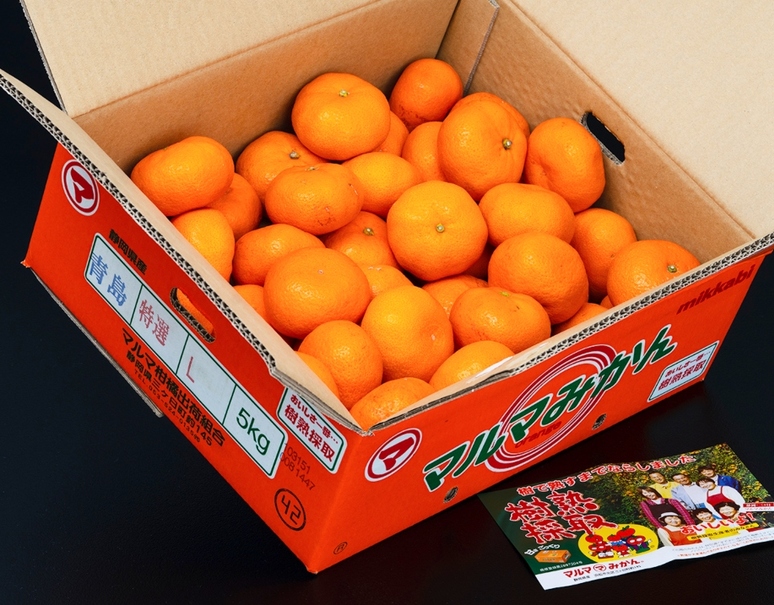 三ヶ日マルマ「樹熟 特選みかん（品種：青島）」静岡県産 L〜2L 約5kg