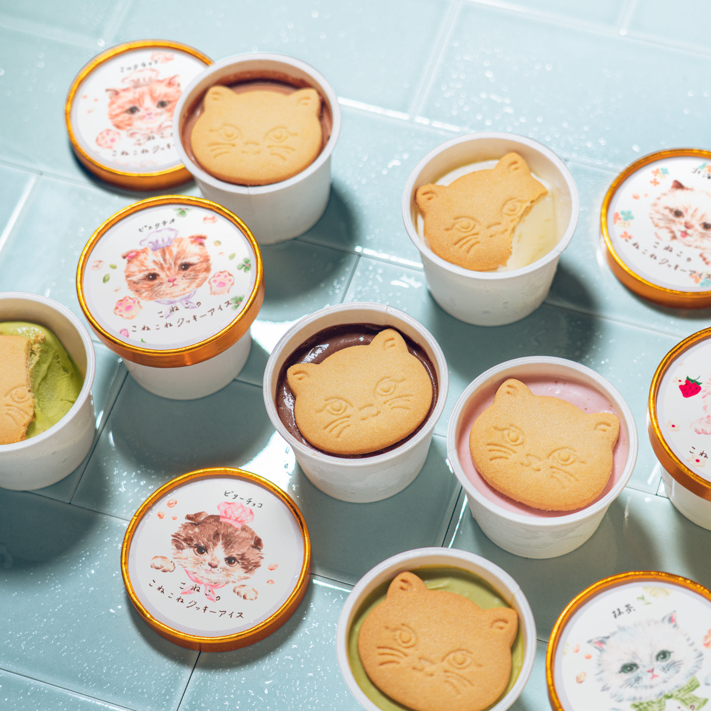 こねこのこねこねクッキーアイス 6種セット ｜DADACA Online Store