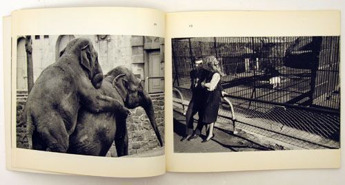 The Animals | Garry Winogrand