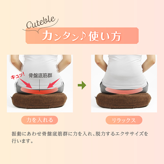 PROIDEA]ラボネッツ 骨盤底筋エクササイズクッション キュットブル