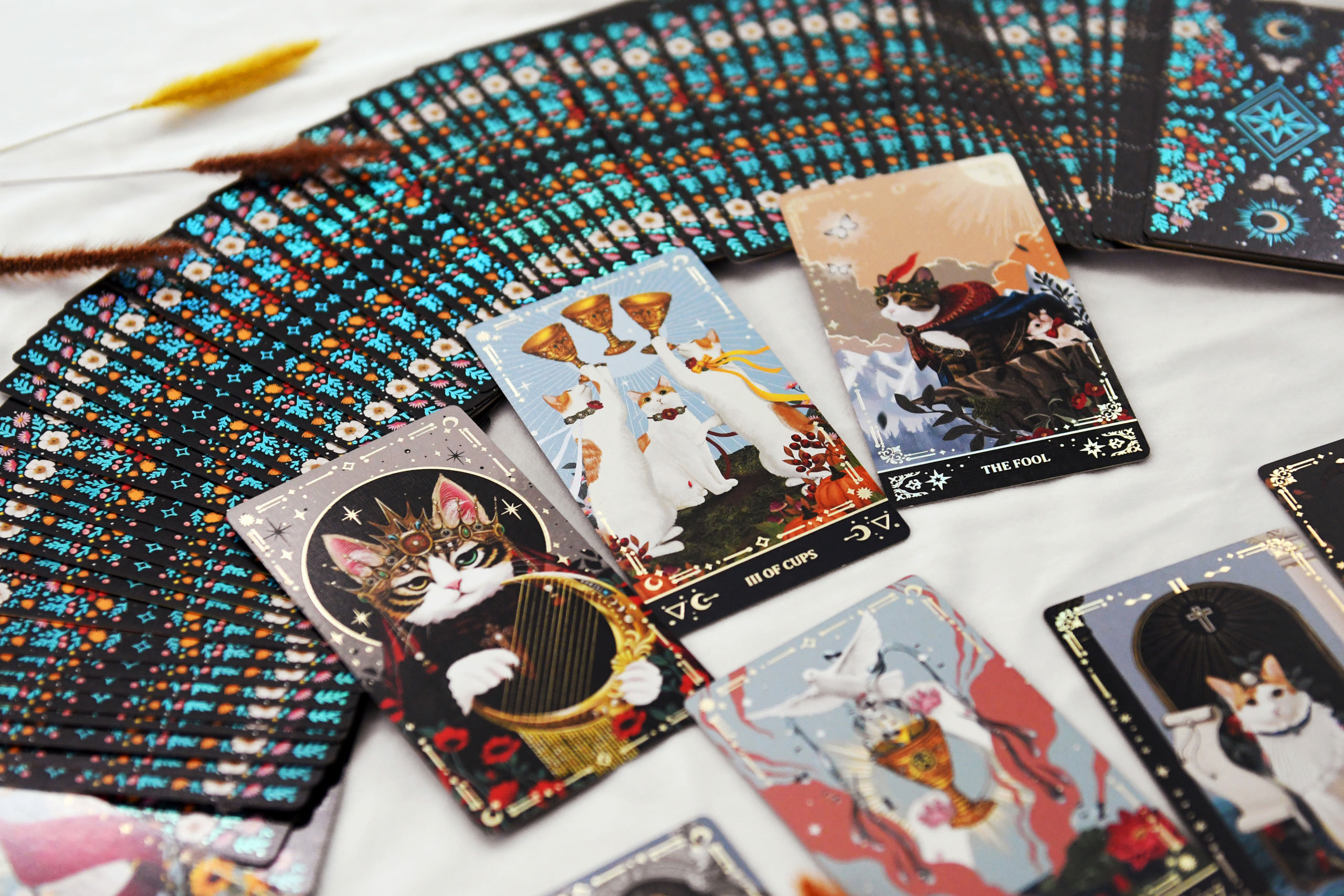 韓国 ミューズキャット タロットカード（韓国正規品） kimdajeong - Pinkoi
