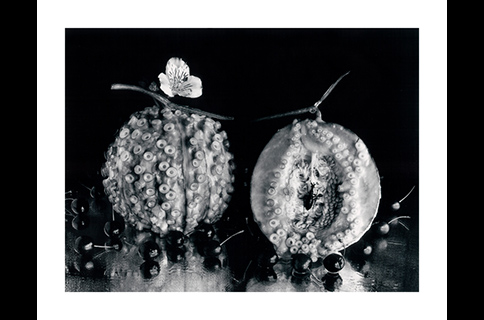 今道子 佐藤時啓写真展：覚醒する写真たち - デジカメ Watch