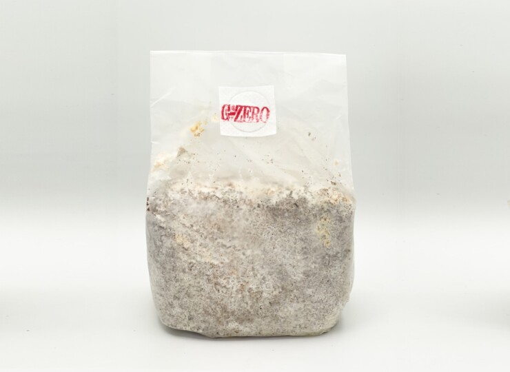 G-ZERO ブロック | D.D.A ism