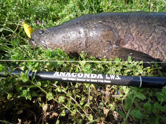 フィネス ANACONDA（アナコンダ）L.W.Sロッドシリーズ 商品詳細