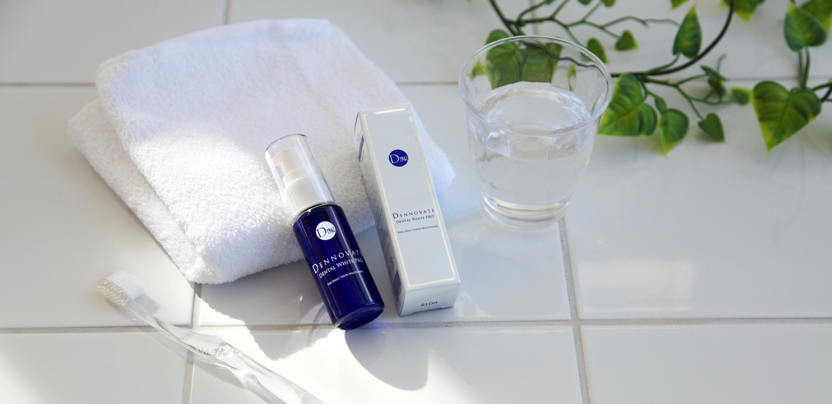 ディノベート 公式ブランドサイト