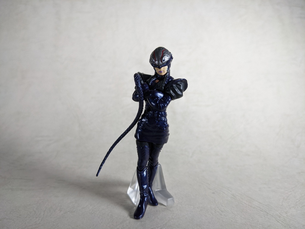 最近買ったHGデビルマンと仮面ライダーTHE FIRST、NEXTのH.G.C.O.R.E.