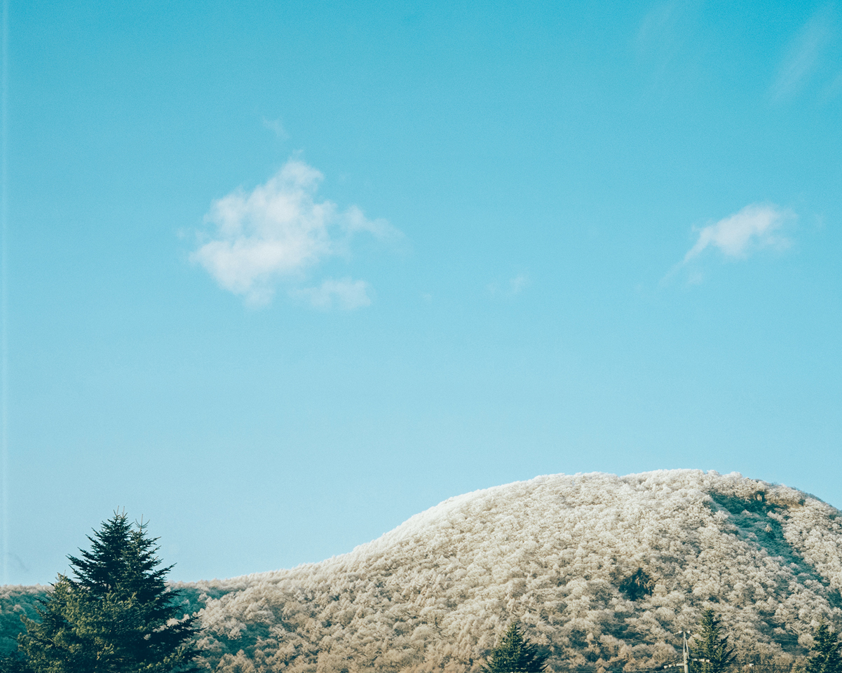 Plaubel makina67（プラウベルマキナ）を買ったので作例をご紹介します