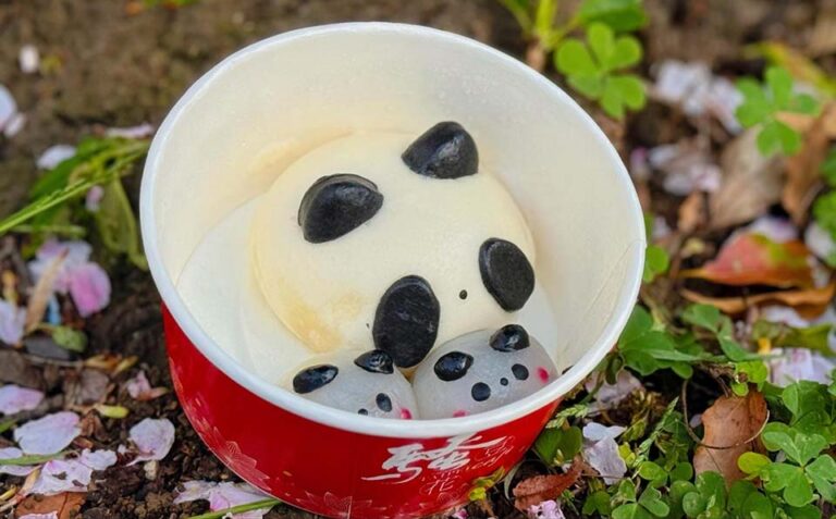 パンダ点心！上野の「騒豆花」で台湾デザートをお持ち帰り