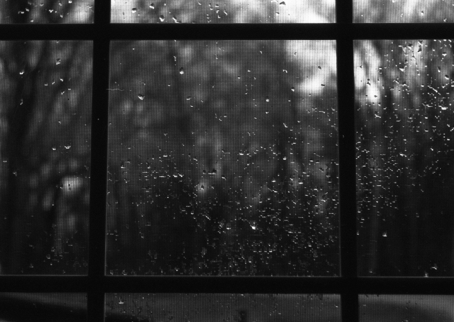 film-005-700.jpg?w=640