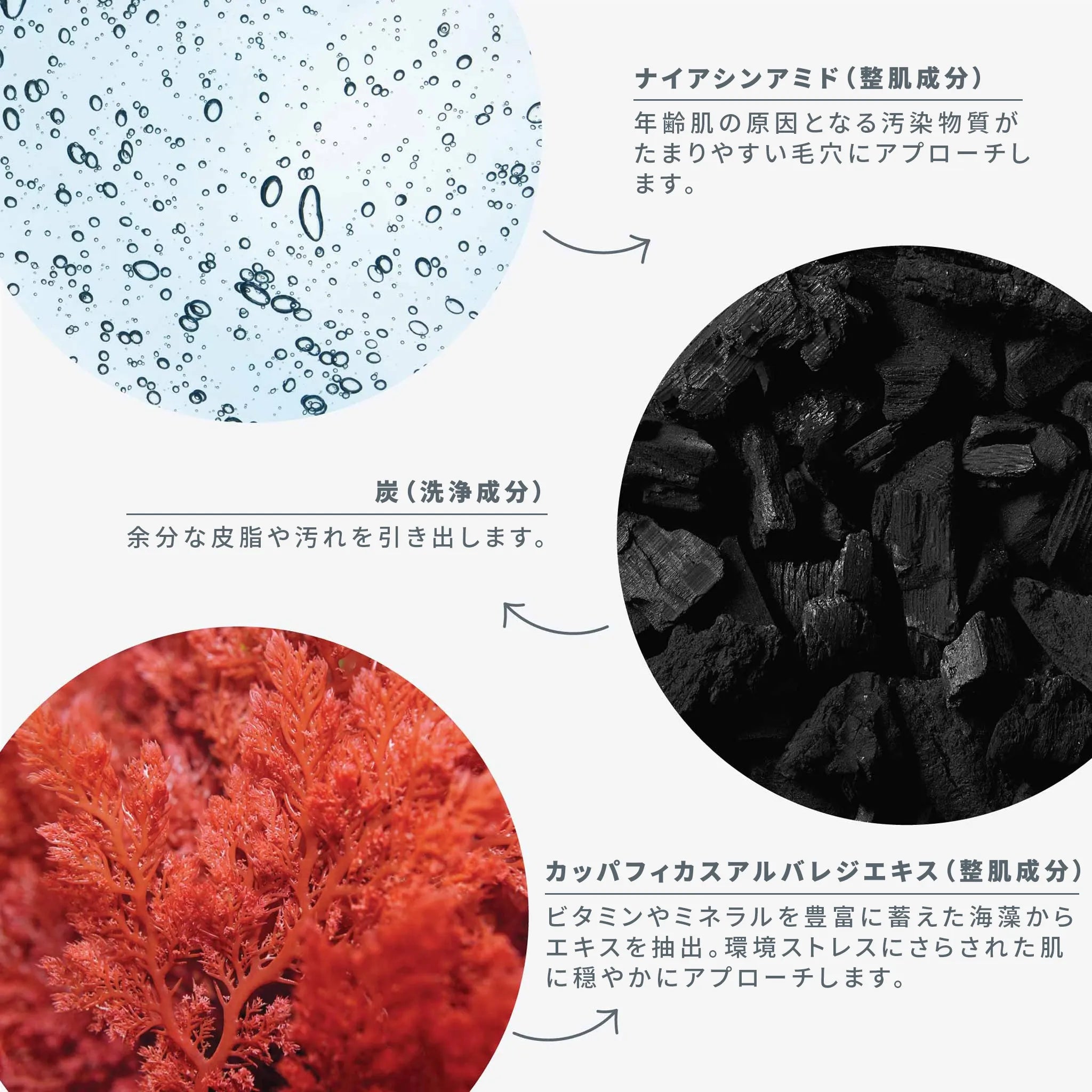 デイリー S フォリエント（角質ケア洗顔料） - ダーマロジカ公式