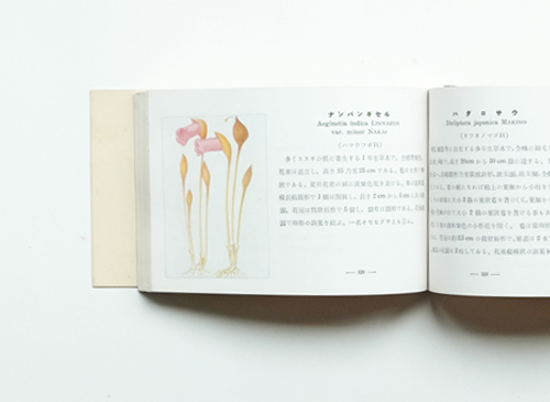 古書古本 dessin：原色 春の野外植物／夏の野外植物／秋の野外植物