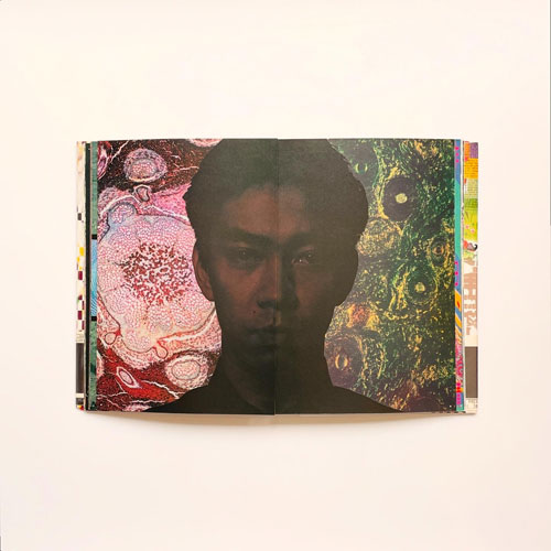 古書古本 dessin：音楽図鑑 坂本龍一（冬樹社）