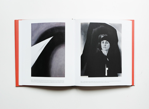 古書古本 dessin: Georgia O'Keeffe: Living Modern（ジョージア