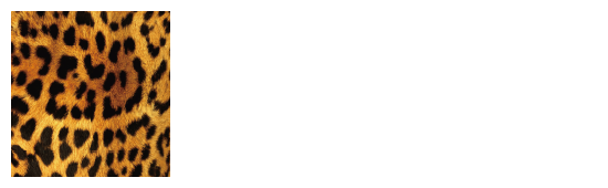 10期研究生 個別生写真10枚セット 岩波柚花 - NMB48 OFFICIAL GOODS STORE