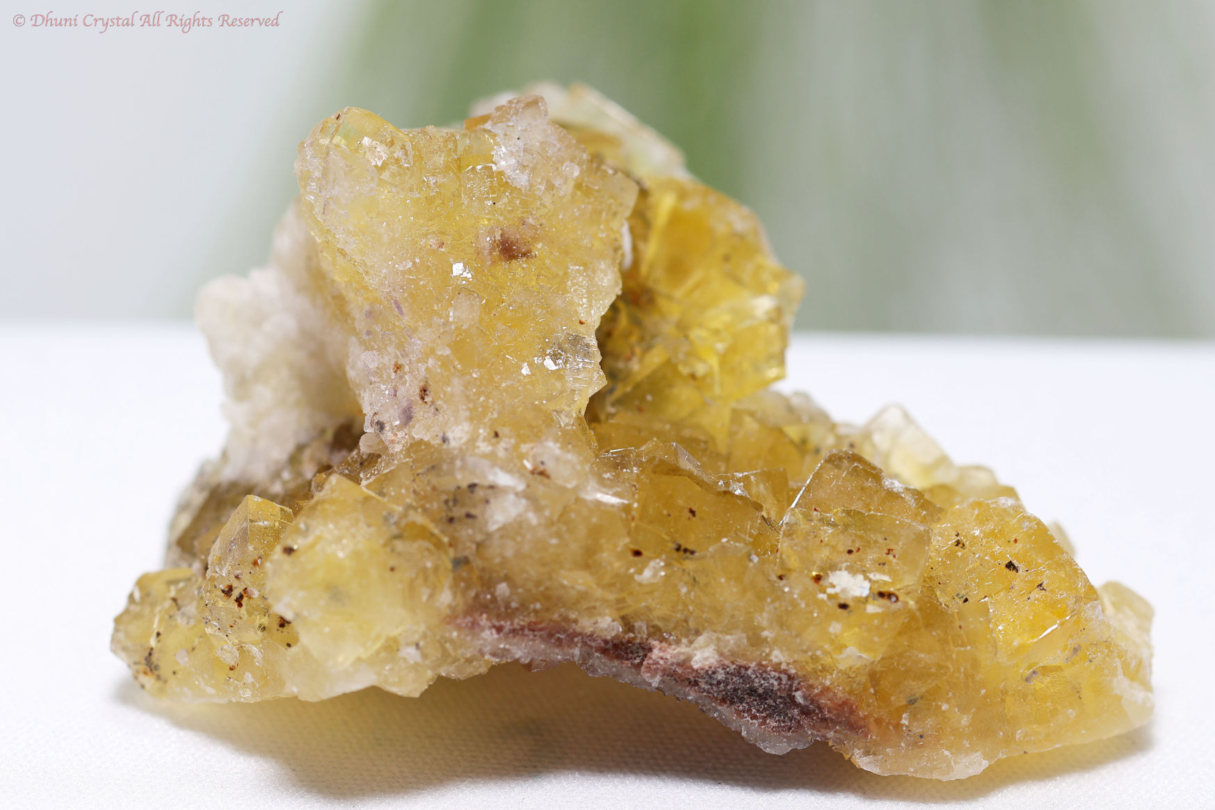 イエロー・フローライト原石/スペイン産(T242)