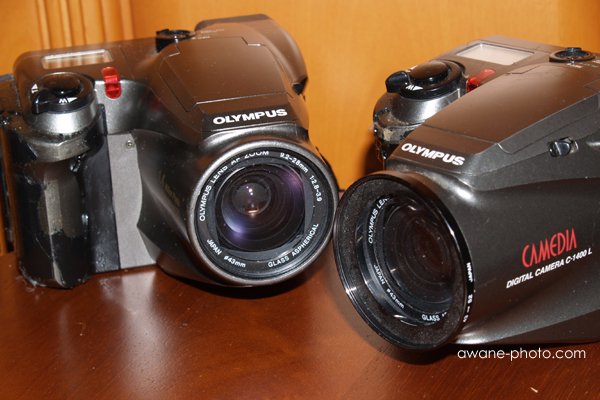 いまさらフォーサーズ オリンパスE-300を保護～撮影日記