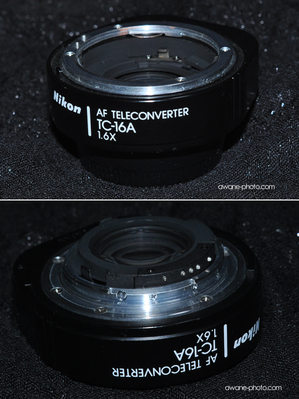 TC-16ASの使えるディジタル一眼レフカメラ～撮影日記