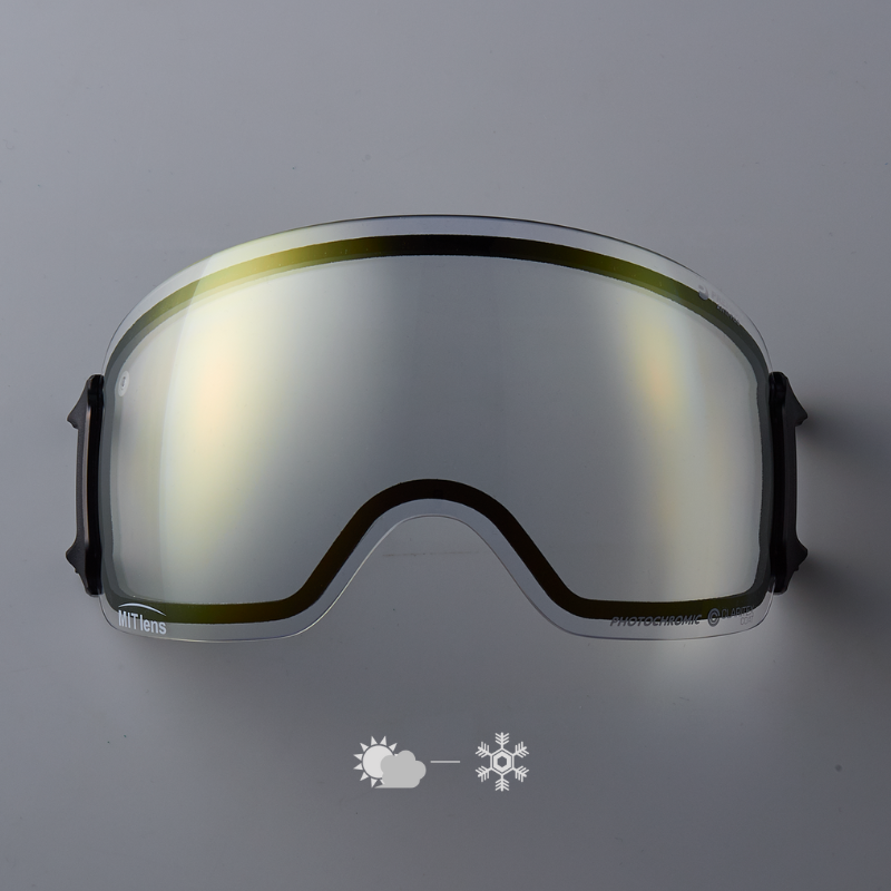 DICE snowboarding goggles | ダイススノーボーディングゴーグル