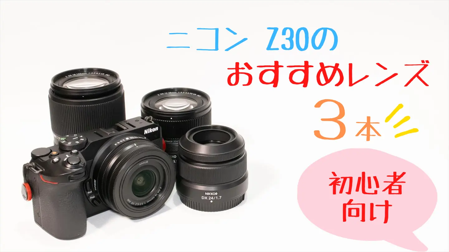 ニコンZ30のおすすめレンズ5選【初心者向け】 | digi-cam.net