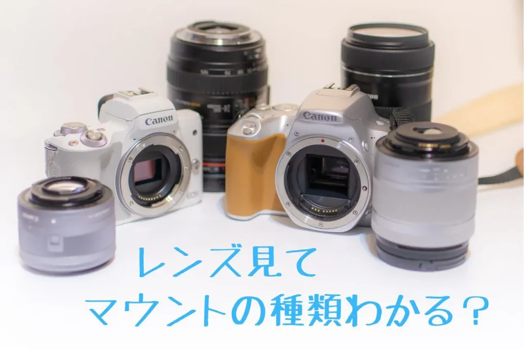 キヤノンミラーレス一眼用レンズの互換性まとめ｜シグマやタムロンは