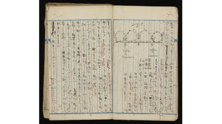 法政大学図書館デジタルアーカイブがリニューアルして公開開始 正岡