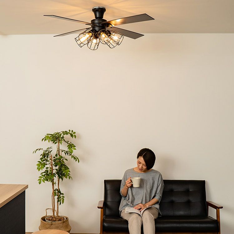 保証5年】JE-CF048 JAVALO ELF(ジャバロエルフ) Modern Collection